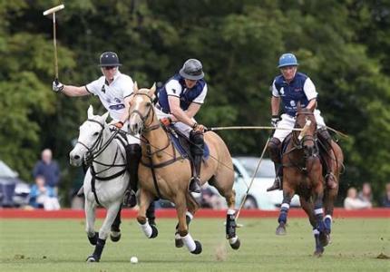 St. George's Polo Cup