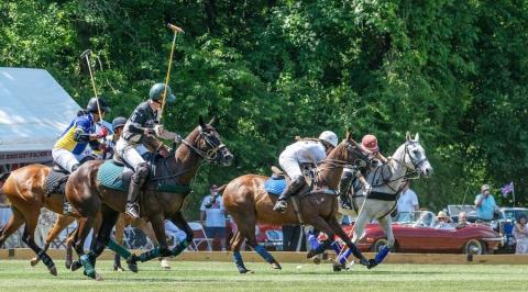 St. George's Society Polo Cup