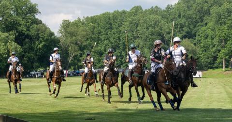 The St. George’s Polo Cup